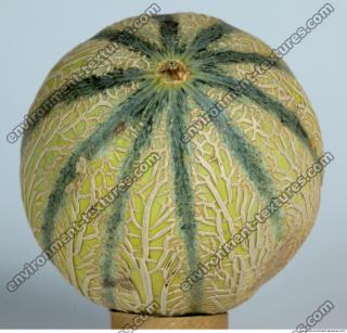 Melon Galia 0017